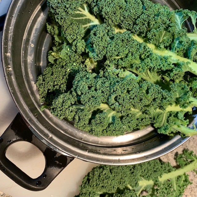 Kale Cut Colander