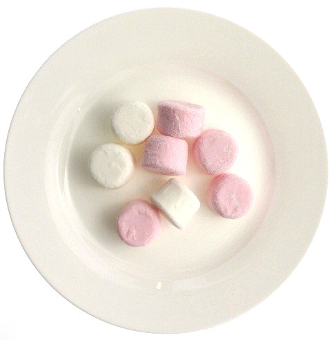 Treat10 MarshmallowsRR