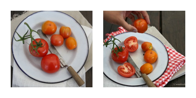 Tomato Collage